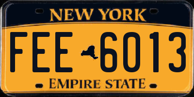 NY license plate FEE6013