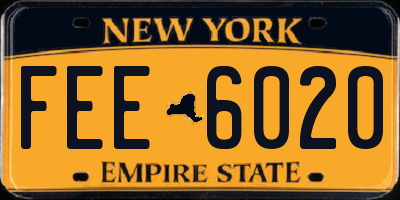 NY license plate FEE6020