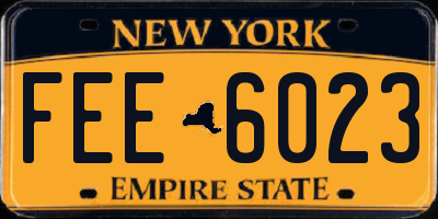NY license plate FEE6023