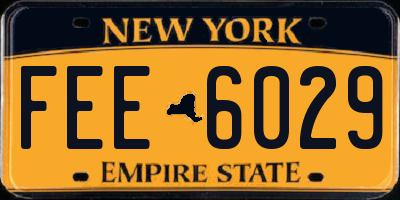 NY license plate FEE6029