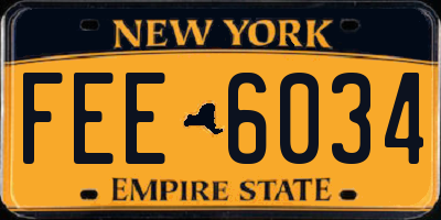 NY license plate FEE6034