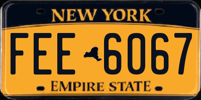 NY license plate FEE6067