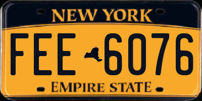NY license plate FEE6076