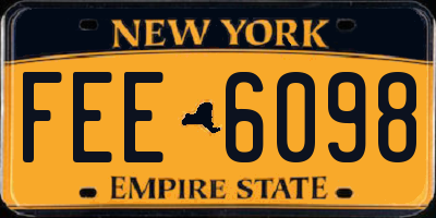 NY license plate FEE6098