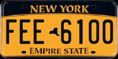 NY license plate FEE6100