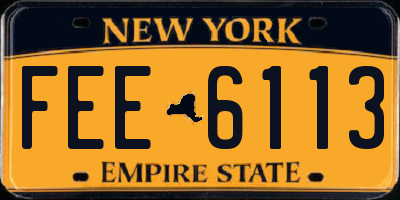 NY license plate FEE6113