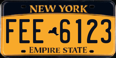 NY license plate FEE6123