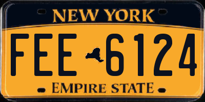 NY license plate FEE6124