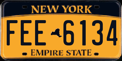 NY license plate FEE6134