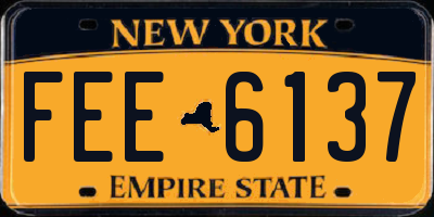 NY license plate FEE6137