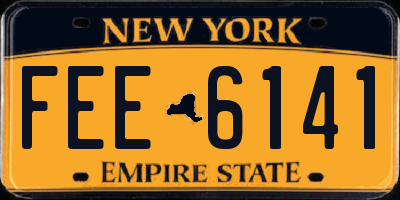 NY license plate FEE6141