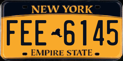 NY license plate FEE6145