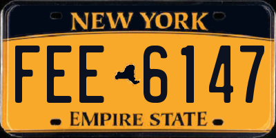 NY license plate FEE6147