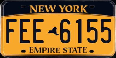 NY license plate FEE6155