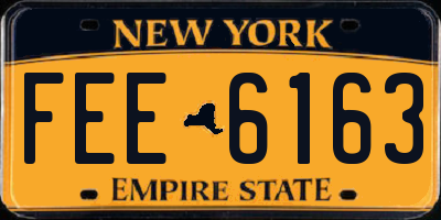 NY license plate FEE6163