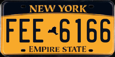 NY license plate FEE6166