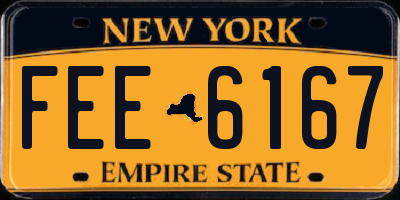 NY license plate FEE6167