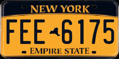 NY license plate FEE6175