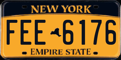 NY license plate FEE6176