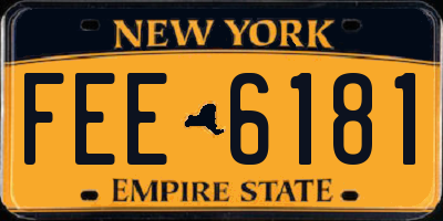NY license plate FEE6181
