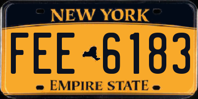 NY license plate FEE6183