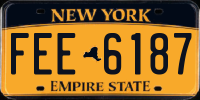 NY license plate FEE6187