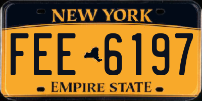 NY license plate FEE6197