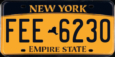 NY license plate FEE6230