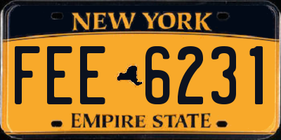 NY license plate FEE6231