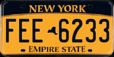 NY license plate FEE6233