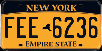 NY license plate FEE6236