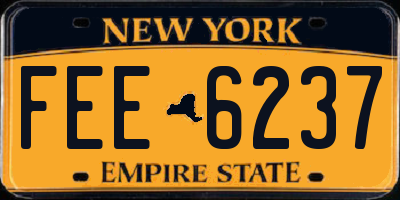 NY license plate FEE6237