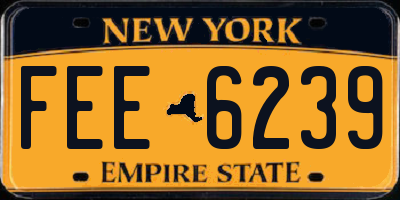 NY license plate FEE6239
