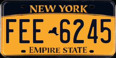 NY license plate FEE6245