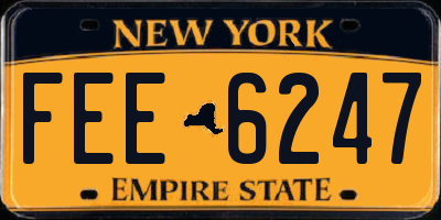 NY license plate FEE6247