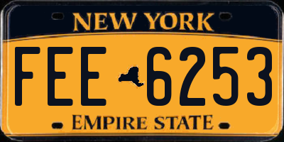 NY license plate FEE6253