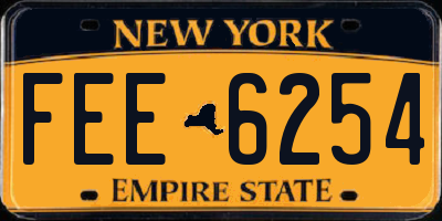 NY license plate FEE6254