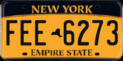NY license plate FEE6273