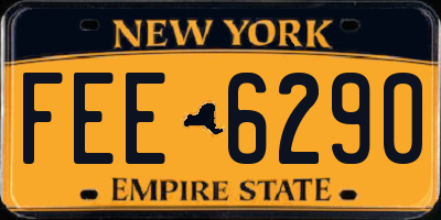 NY license plate FEE6290