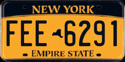 NY license plate FEE6291
