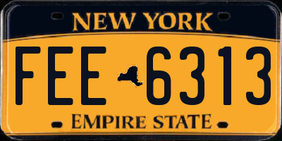 NY license plate FEE6313