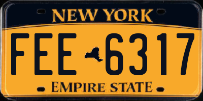 NY license plate FEE6317