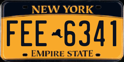 NY license plate FEE6341