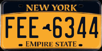 NY license plate FEE6344