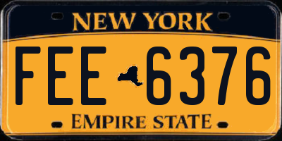 NY license plate FEE6376