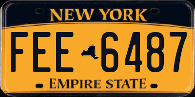 NY license plate FEE6487