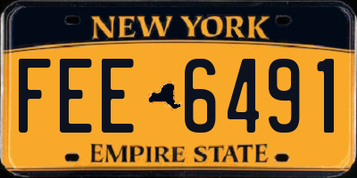 NY license plate FEE6491