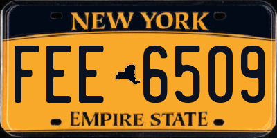 NY license plate FEE6509
