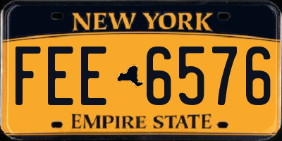 NY license plate FEE6576