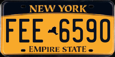 NY license plate FEE6590
